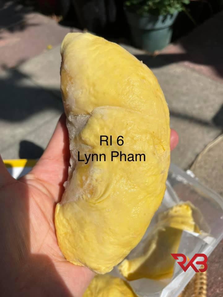 Lynn - Sầu Riêng  